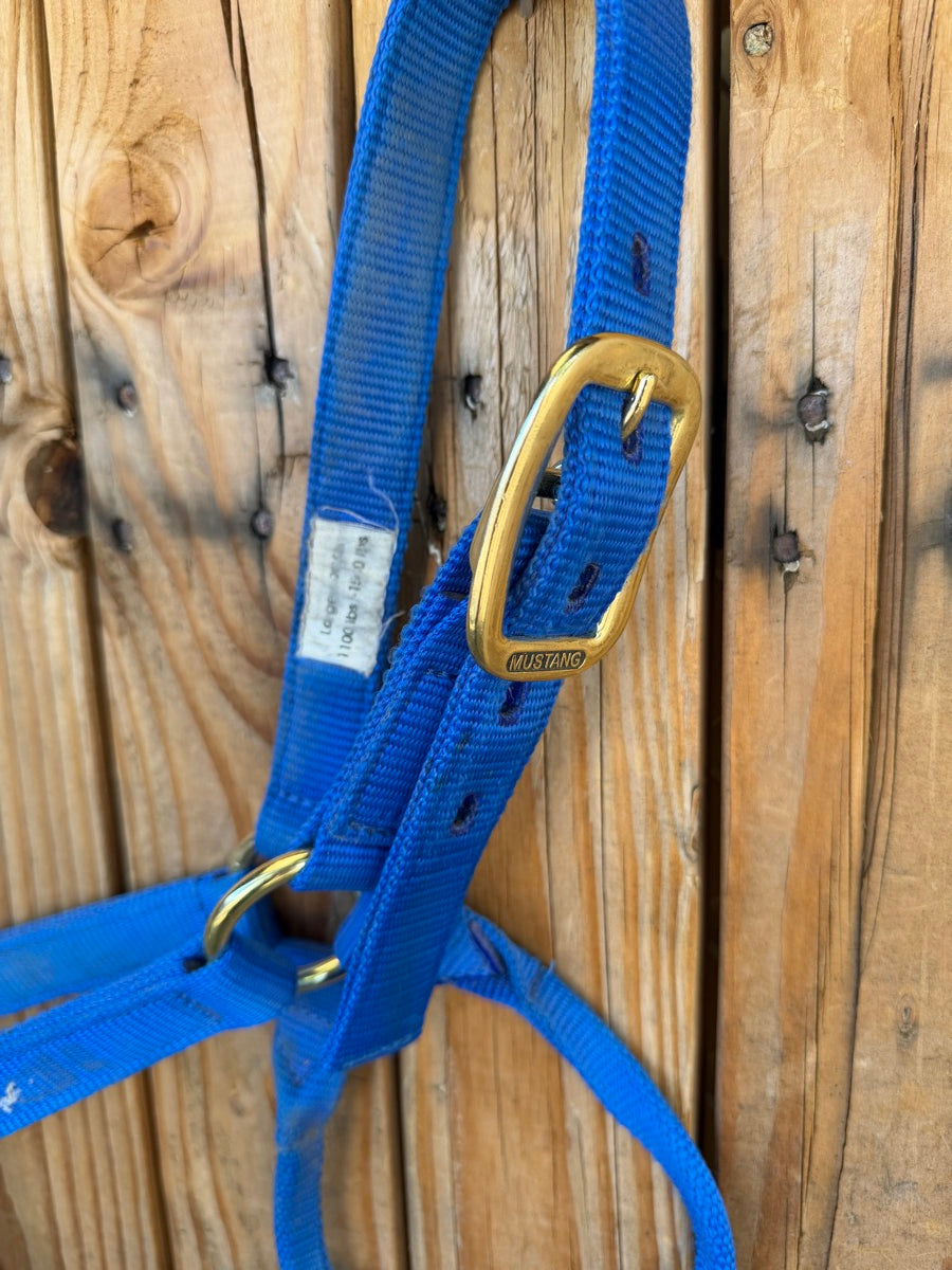 Blue Mustang Nylon Halter - Large Horse     HL1163