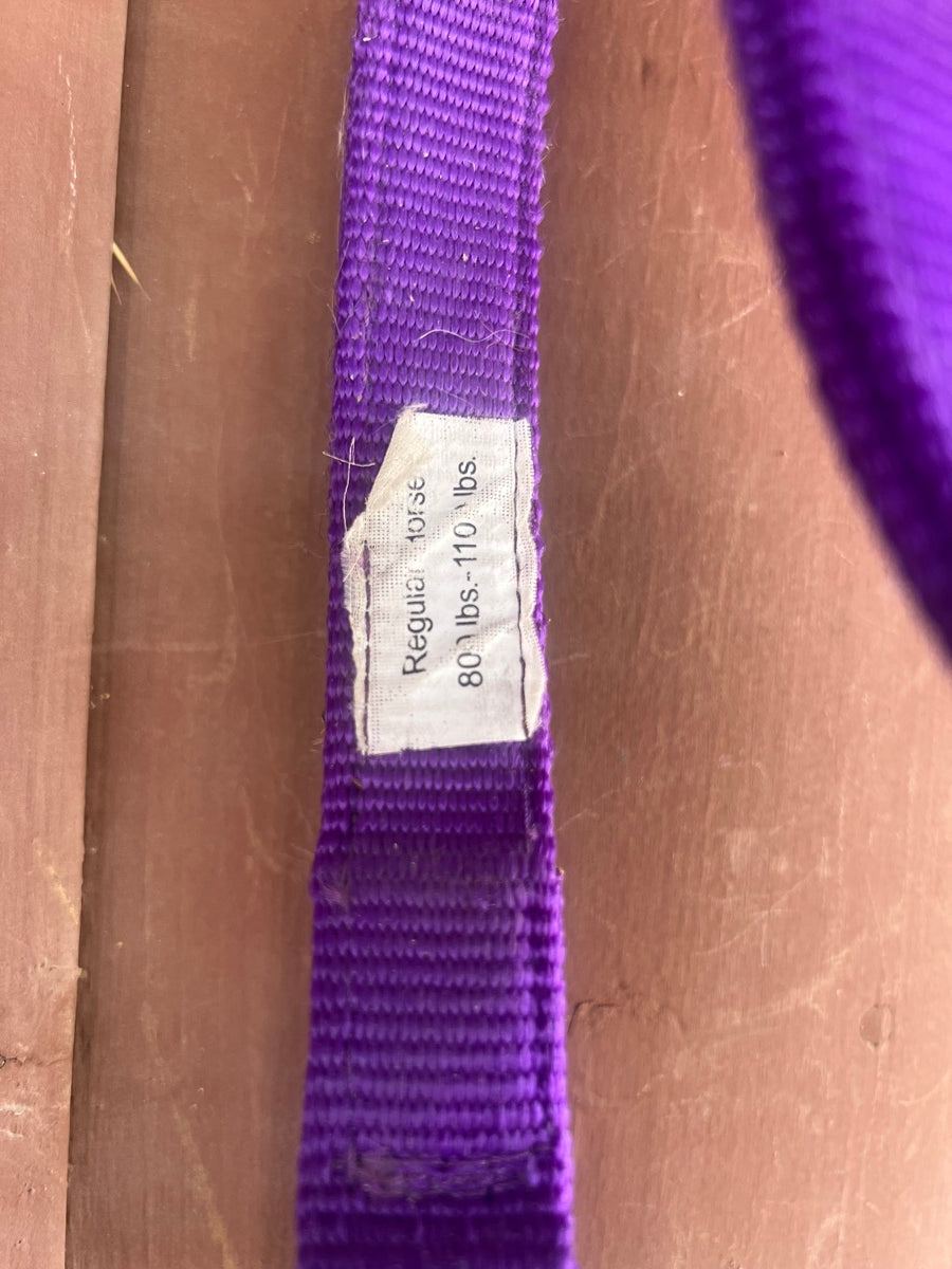 Mustang Purple Nylon MJRA Horse Halter    HL1127