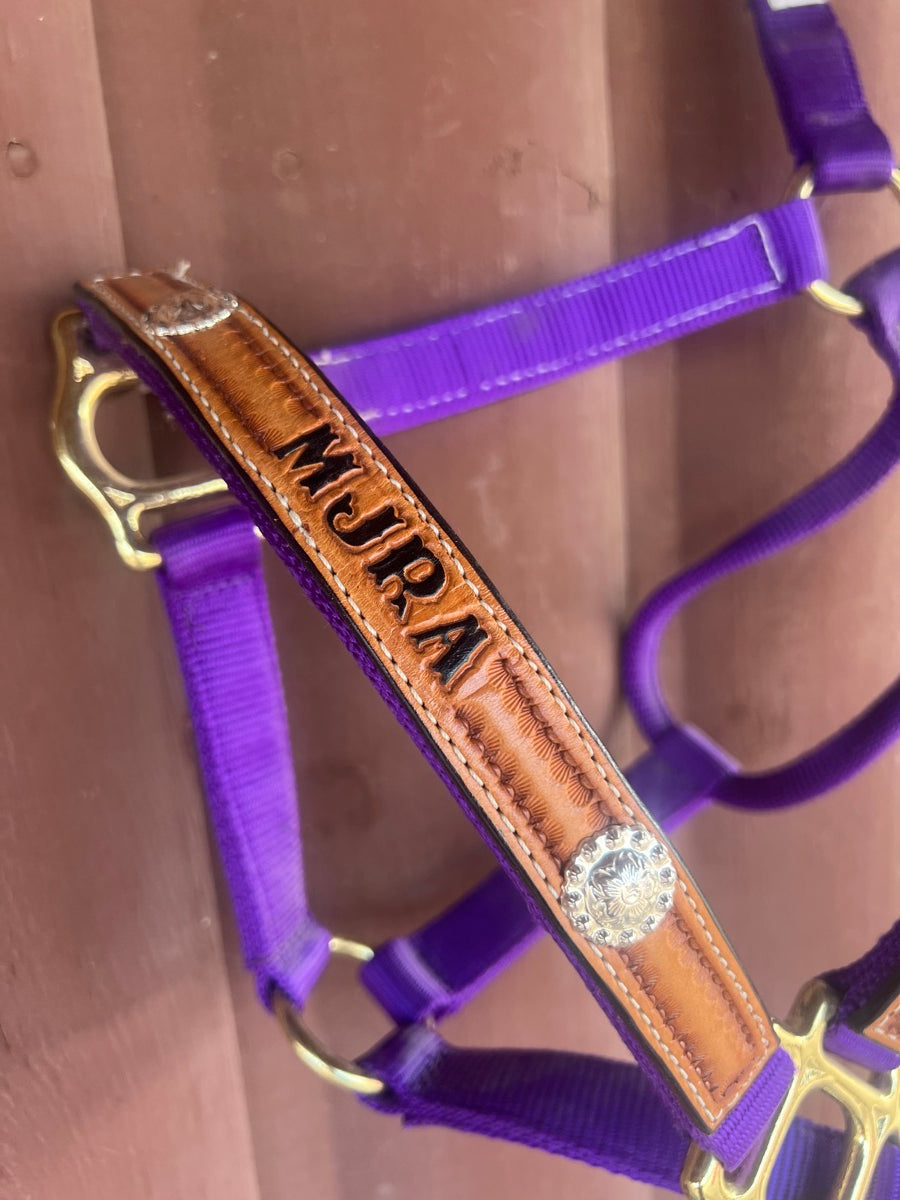 Mustang Purple Nylon MJRA Horse Halter    HL1127