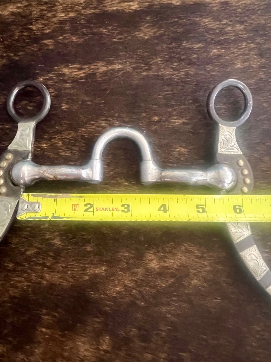 Reinsman Pro Roper 876 Correction Horse Bit      B1170