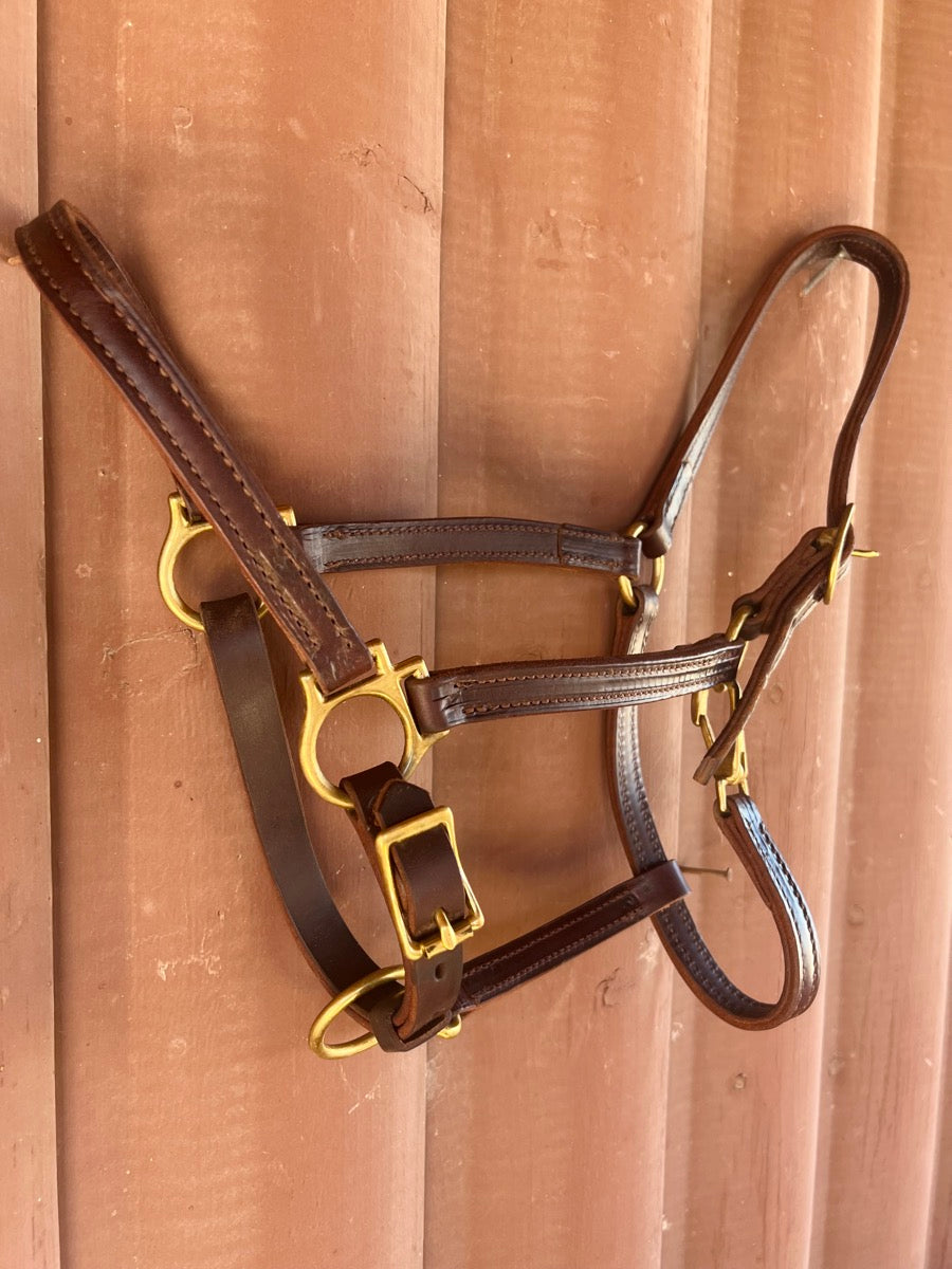 Leather Horse Halter Adjustable Chin and Snap Throat