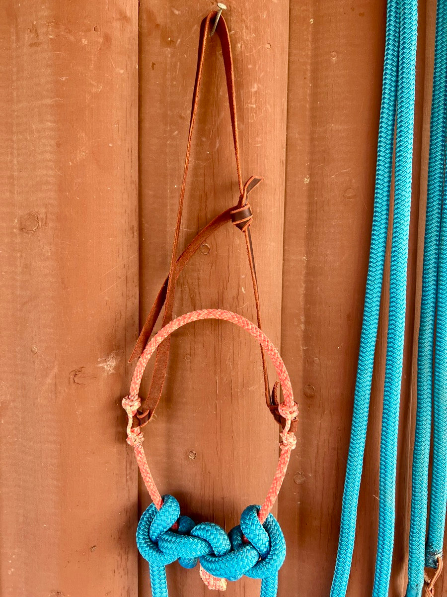 Loping Hackamore with Split Reins