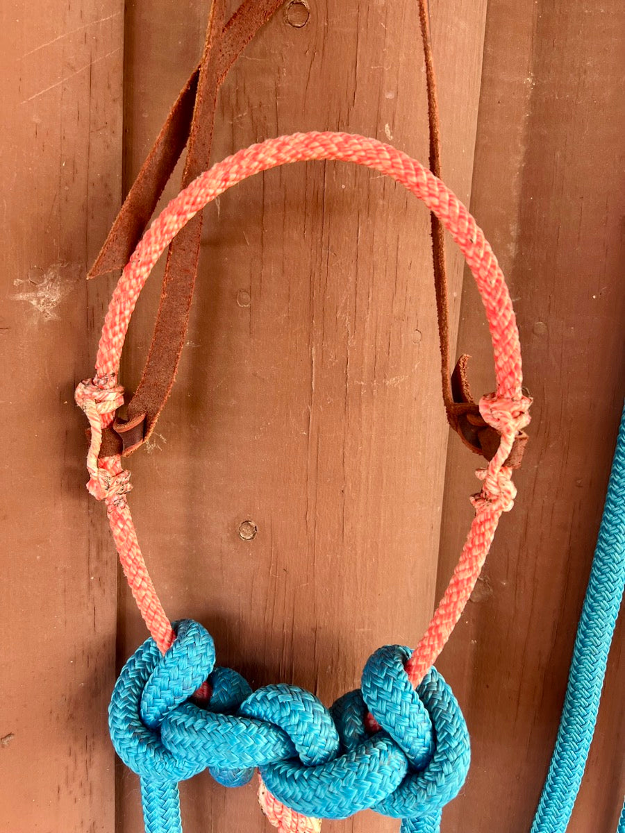 Loping Hackamore with Split Reins