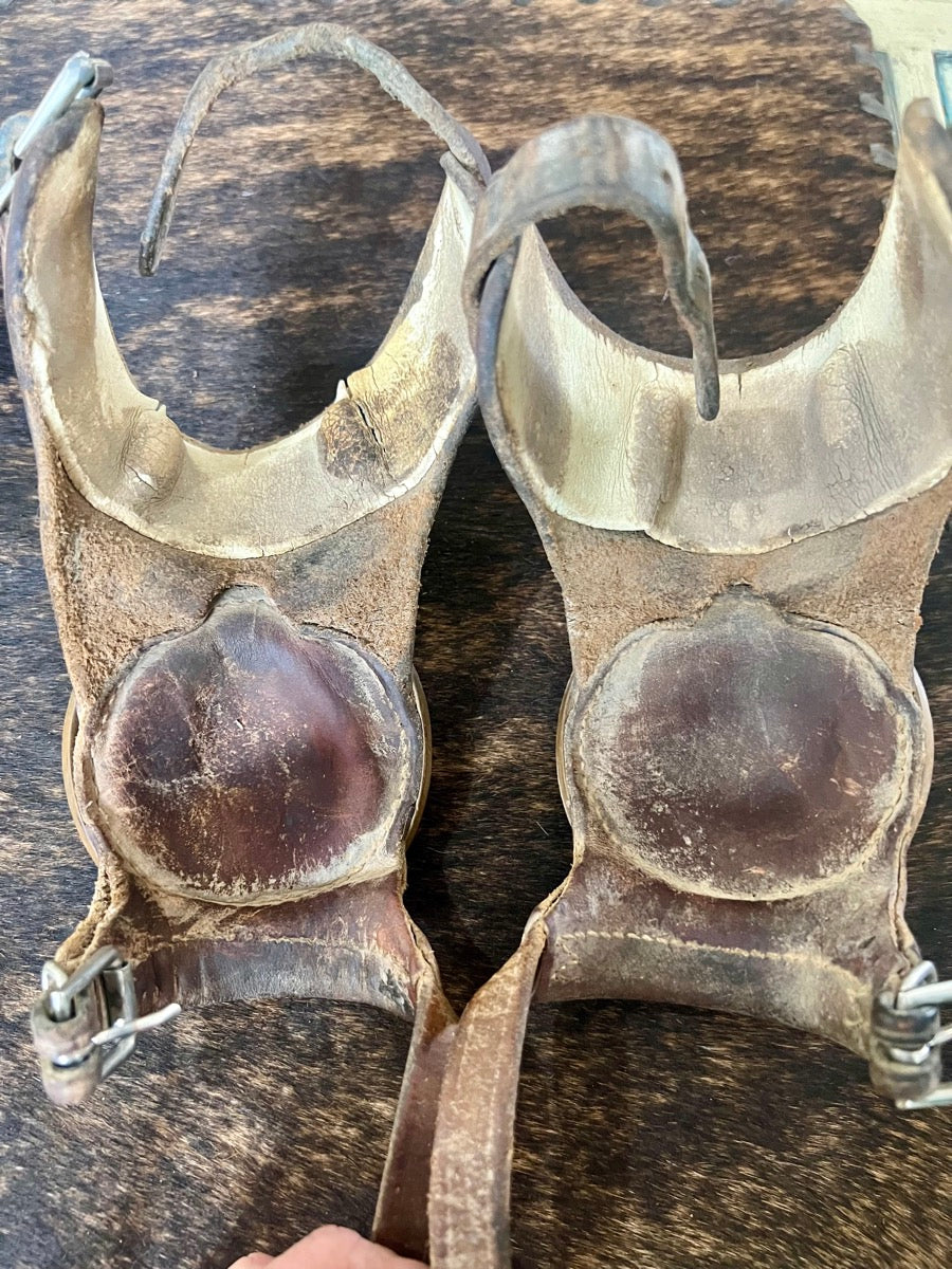 Classic Equine Performance Skid Boots with Buckles     HB1116