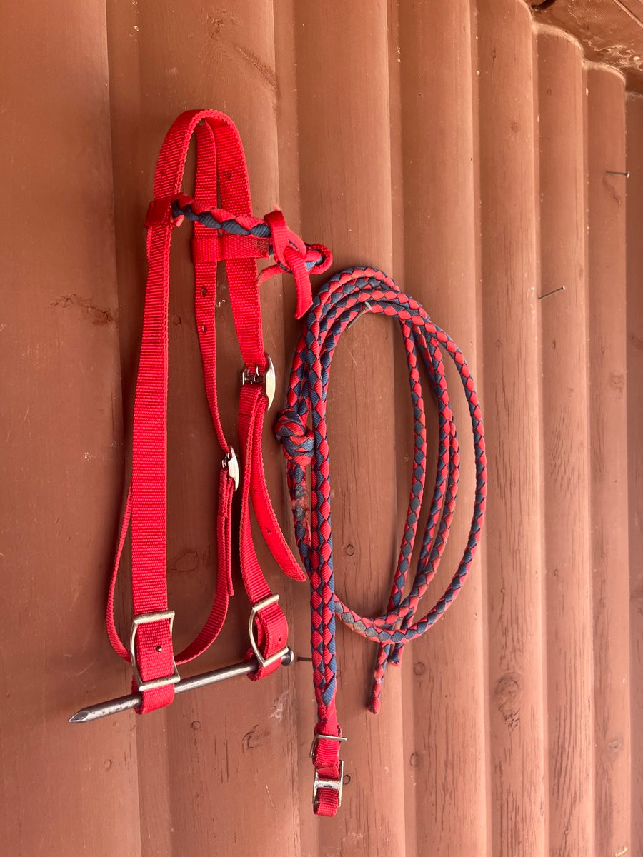 Red Nylon Horse Headstall and Braided Nylon Split Reins Tack Set      HS1165