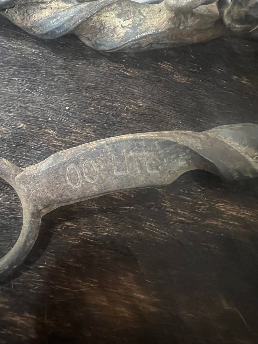 Twisted Horseshoe Shank Ported Chain Mouth Bit      B1221