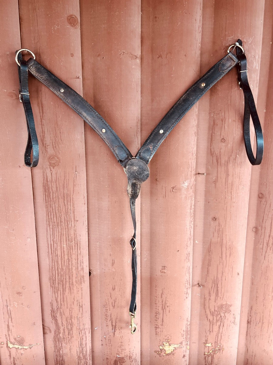 Black Leather Breast Collar with Star Conchos