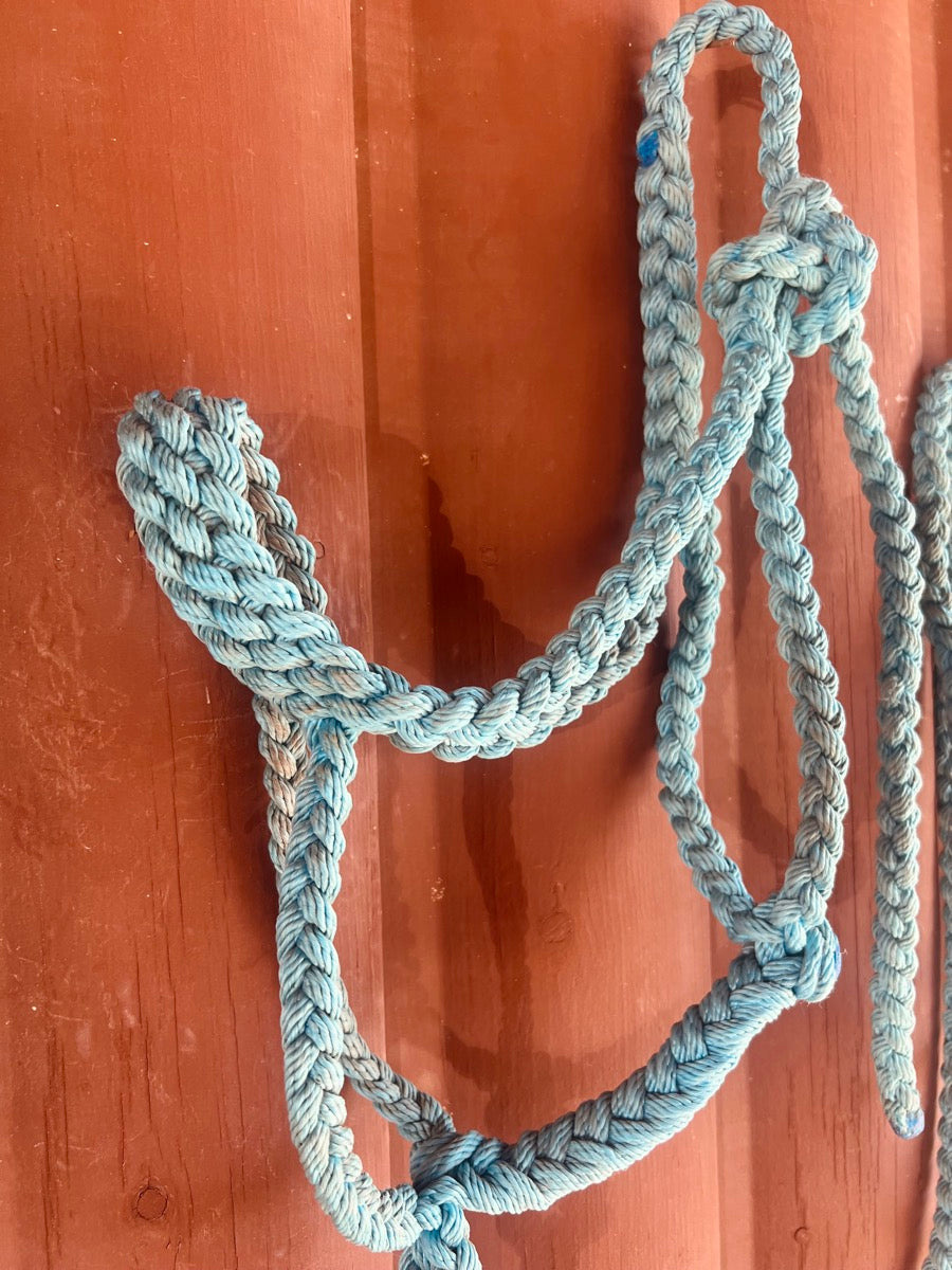 Turquoise Braided Halter with Attached 10 ft Lead Rope